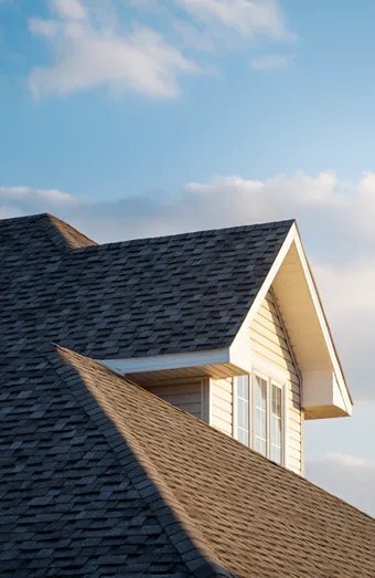 Homepage X